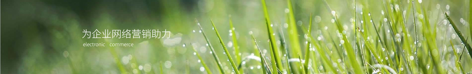 ɹƳ޹˾